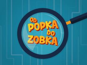 Od popka do zobka