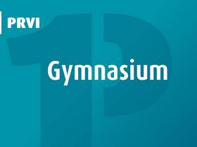 Gymnasium