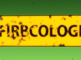 Firbcologi