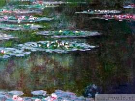 Monet: Lokvanji