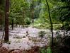 Fotografija: Jurij Popov