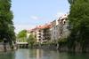 Ob Ljubljanici je še vedno veliko dreves.