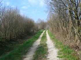 Izstopniki - spregledani ljudje, 23. september 2011