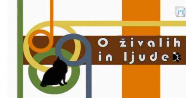 O ŽIVALIH IN LJUDEH