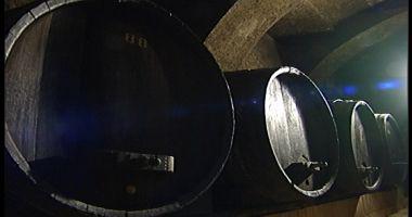 ALI V VINAGU UNIČUJEJO ZNAMENITO VINSKO KLET? ALI V VINAGU UNIČUJEJO ZNAMENITO VINSKO KLET?