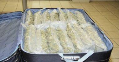 ZASEGLI 10 KILOGRAMOV KONOPLJE ZASEGLI 10 KILOGRAMOV KONOPLJE