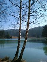 Bloško jezero