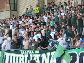 Green Dragons