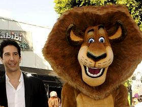 David Schwimmer