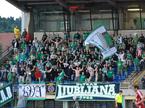 Green Dragons