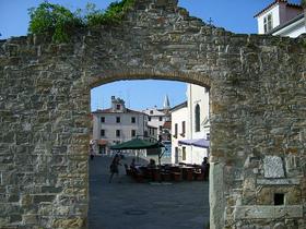Koper
