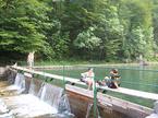 Idrijska Bela
