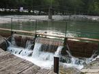 Idrijska Bela
