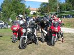 Motozbor