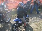 Motozbor