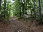 Snežnik