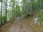 Snežnik