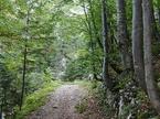 Snežnik