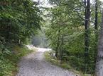 Snežnik