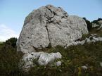 Snežnik