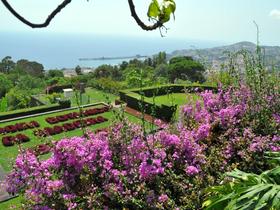 Funchal