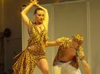 Salsa Power Festival