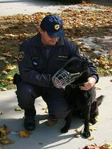 Policijski pes