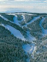 Rogla