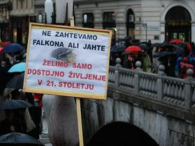 Protest delavcev