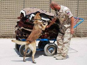 Afganistan