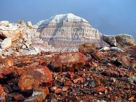 Petrified Forest