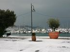 Izola