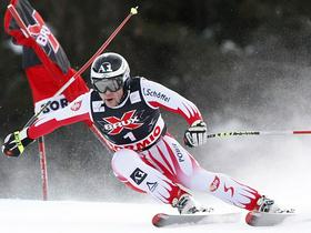 Mario Scheiber