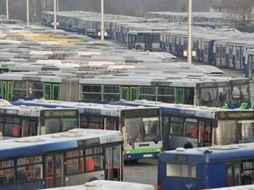 Avtobus