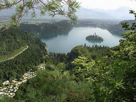 Bled
