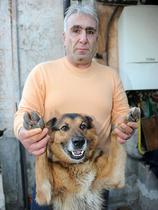 Prehodil pol Italije