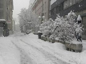 Sneženje