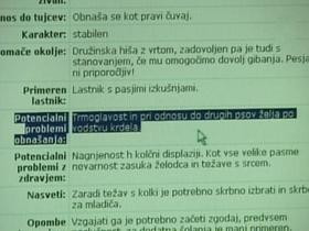 Pravila