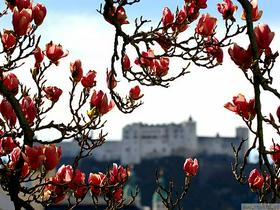 Salzburg