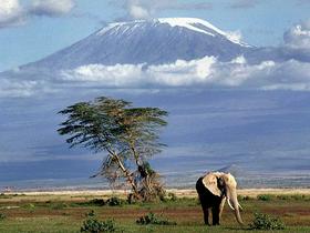 Kilimanjaro