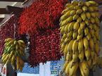 Funchal