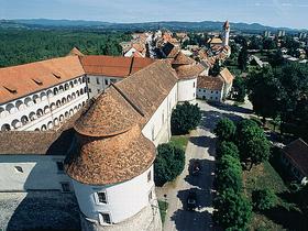 Brežiški grad