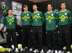 Robert Koren, Milivoje Novakovič, Boštjan Cesar, Zlatan Ljubijankič in Dalibor Stevanovič