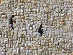 Beitar Ilit