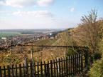 Lendavske gorice