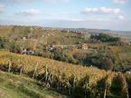 Lendavske gorice