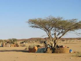 Darfur