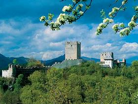 Mestna občina Celje