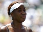 Venus Williams