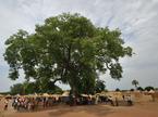 Sudan volitve